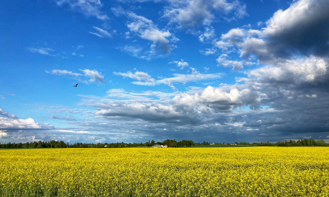 Aitame headel projektiideedel jõuda kiiremini Euroopa rahastuseni!