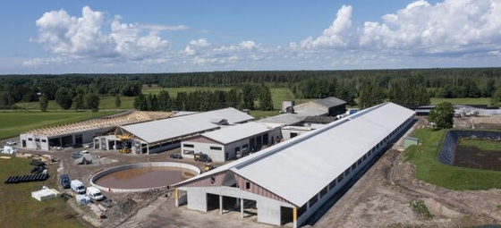 Pärnumaale kerkib ligi 1000 loomale uus laudakompleks